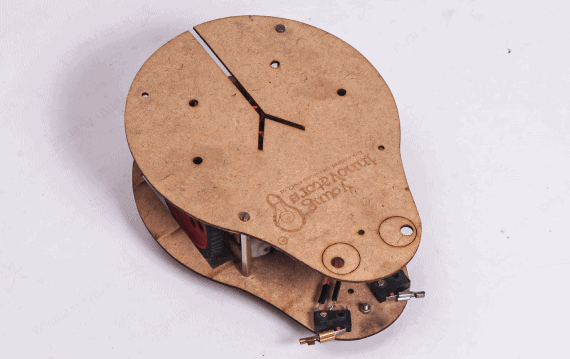 Bug robot