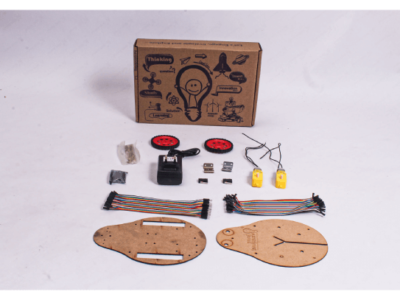 Bug robot
